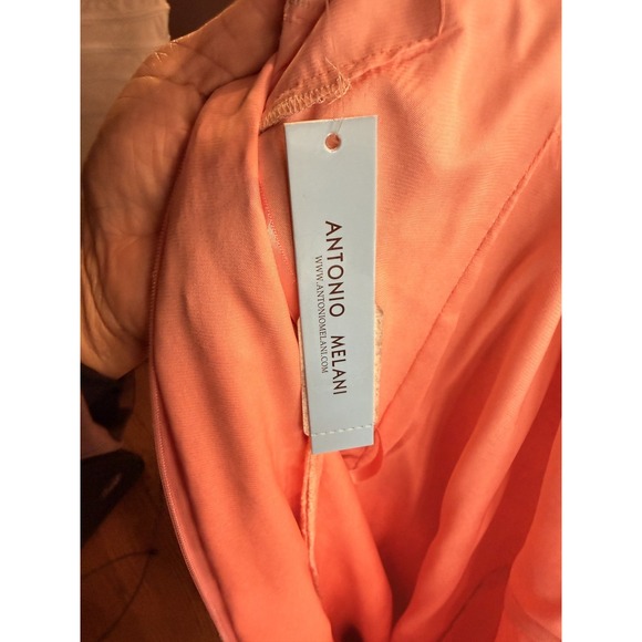 Antonio Melani Size 8 Intricate Lace Balayage Peaches and Creme Cocktail Dress - Picture 6 of 6